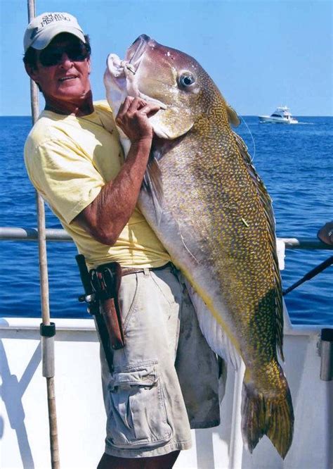 largest saltwater fish|largest saltwater fish caught.